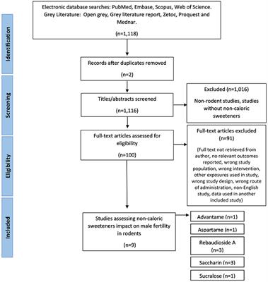 Frontiers The Impact of Non caloric Sweeteners on Male Fertility